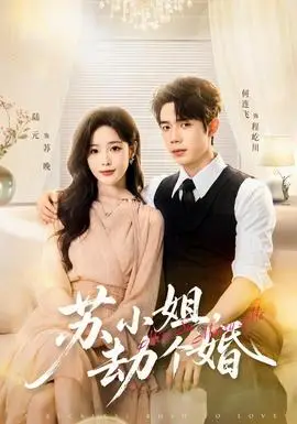 蘇小姐，劫個婚